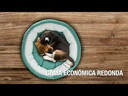 youtube - [Video]