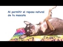 youtube - [Video]