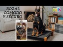 youtube - [Video]