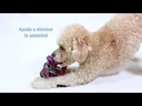youtube - [Video]