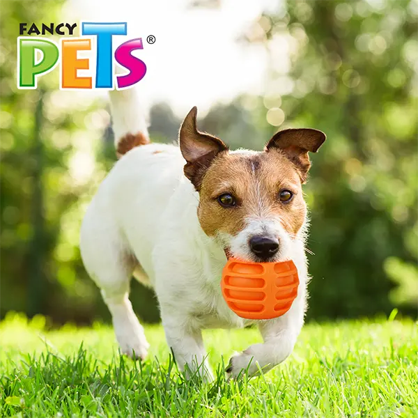 FL8517_003.webp