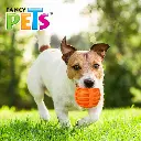 FL8517_003.webp