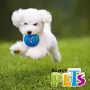 FL9428_005.webp