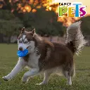 FL9429_005.webp