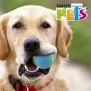 FL9434_004.webp