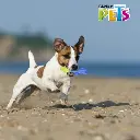 FL9454_005.webp