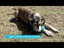 youtube - [Video]
