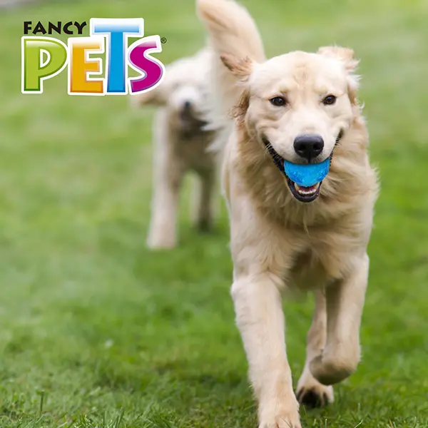 FL9466_003.webp