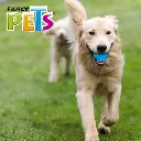 FL9466_003.webp
