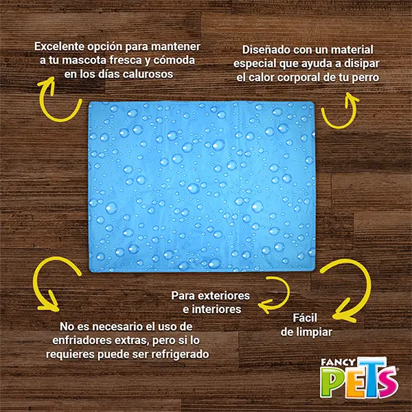 FL9864_008.webp