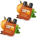 NTP_ZENLUDABLE_ZNGHA_PUMPKIN-SPICE_001.webp