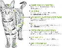 NTP_ZENLUDABLE_PETSONS_NUPEC_FELINOS_ADULTOS_1500GR_002.webp