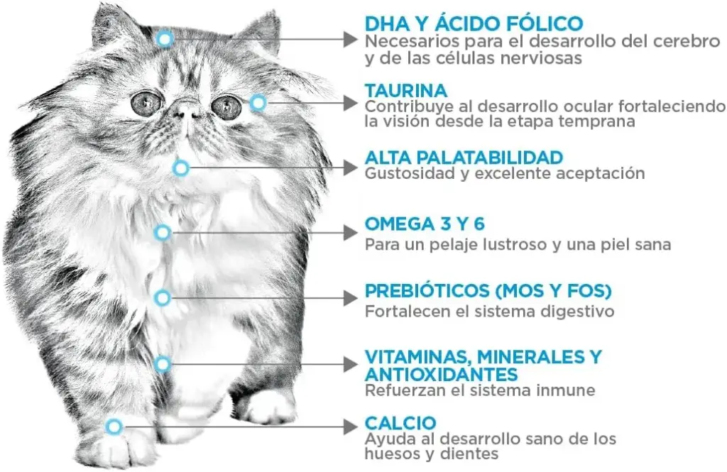 NTP_ZENLUDABLE_PETSONS_NUPEC_FELINOS_KITTEN_1500GR_003.webp