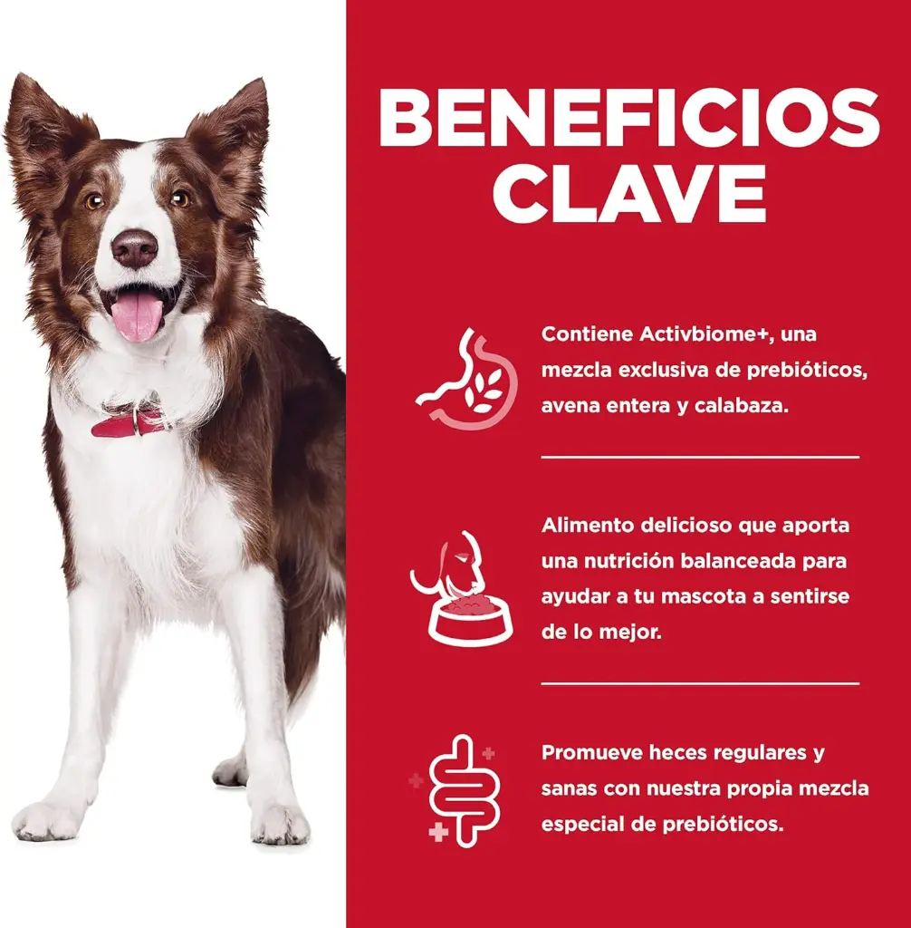 NTP_ZENLUDABLE_PETSONS_HILLS_PERROS_DIGESTION_10KG_005.webp