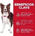 NTP_ZENLUDABLE_PETSONS_HILLS_PERROS_DIGESTION_10KG_005.webp