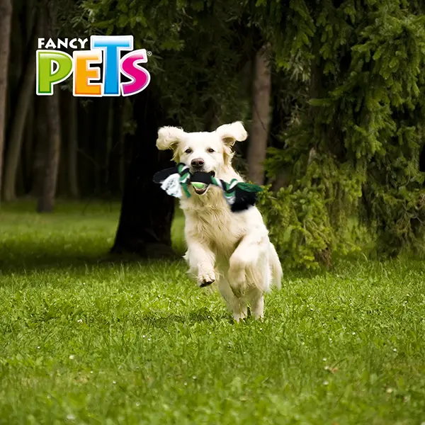 FL7274_002.webp