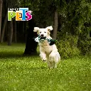 FL7274_002.webp