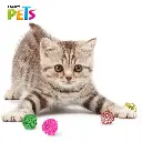 FL8256_004.webp