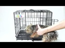youtube - [Video]