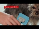 youtube - [Video]