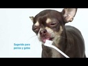 youtube - [Video]