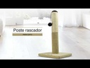 youtube - [Video]
