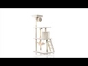 youtube - [Video]
