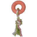 FL8513_001.webp