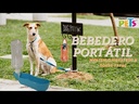 youtube - [Video]