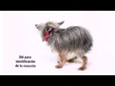youtube - [Video]