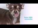 youtube - [Video]