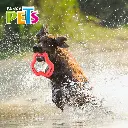 FL8780_002.webp