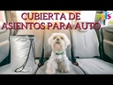 youtube - [Video]