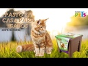 youtube - [Video]