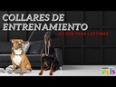 youtube - [Video]