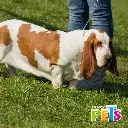 FL9104_003.webp