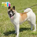 FL9106_003.webp