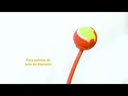 youtube - [Video]