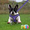 FL9551_004.webp