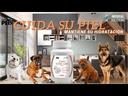 youtube - [Video]