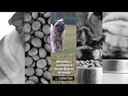 youtube - [Video]