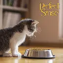 PS1861_009.webp