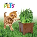 PASTO P/GATOS