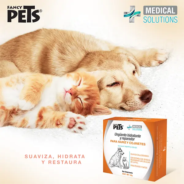 MS UNGÜENTO HIDRATANTE Y REPARADOR 40 G