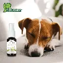KIT DE AROMATERAPIA RELAJACION 60 ML