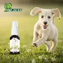 KIT DE AROMATERAPIA VITALIDAD 60 ML