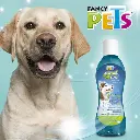 REFRESCANTE DE ALIENTO 1 LT