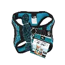 SET ARNES Y CORREA SPORTIE XCH AZUL