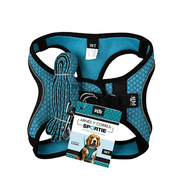 SET ARNES Y CORREA SPORTIE INT AZUL