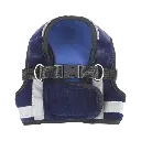 ARNES BAYAB CH